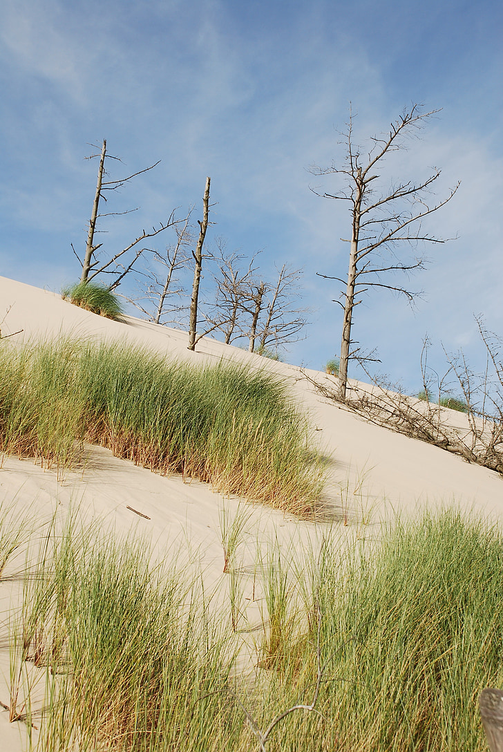 Já?, písečné duny, písek, Duna, Baltské moře, Příroda, písečné duny