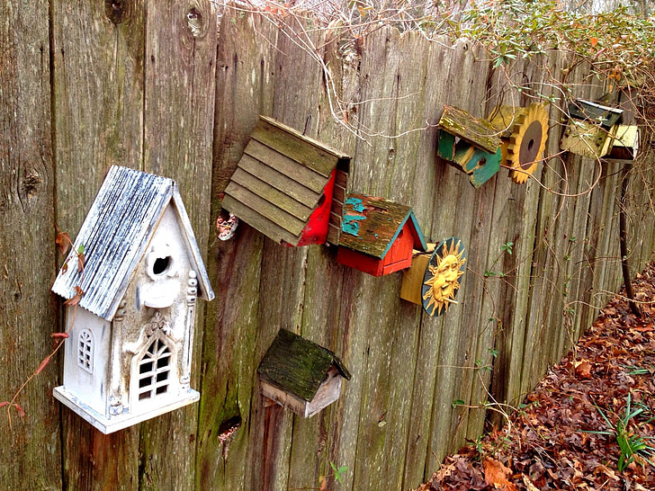 Birdhouse, recinzione, oggetto d'antiquariato, rustico, cortile, azienda agricola, bucolico