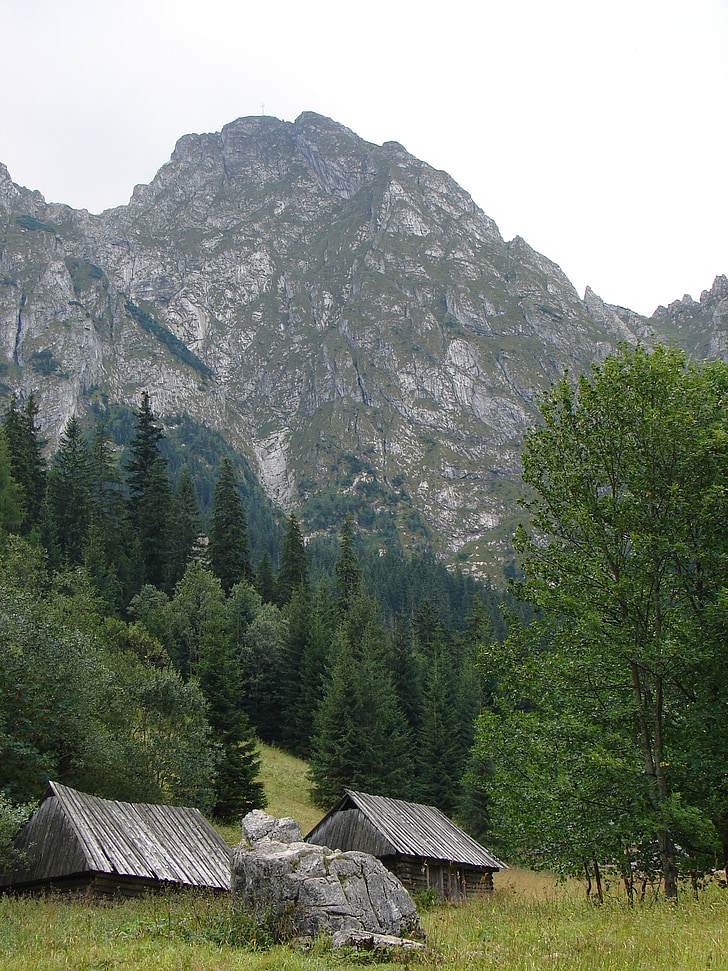 montagne, montagnes, Retour au début, nature, Tatra, Pologne, Cottage