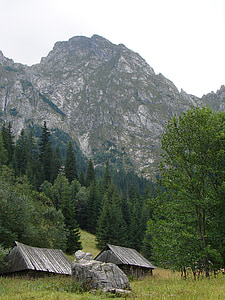 montagne, montagnes, Retour au début, nature, Tatra, Pologne, Cottage