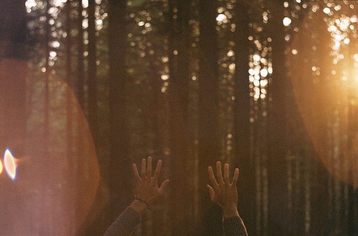 humaine, s, main, photo, prise de vue, mains, rayons de soleil