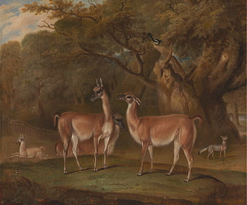 Thomas Weber, Kunst, Malerei, Öl auf Leinwand, Landschaft, Tierwelt, Lamas