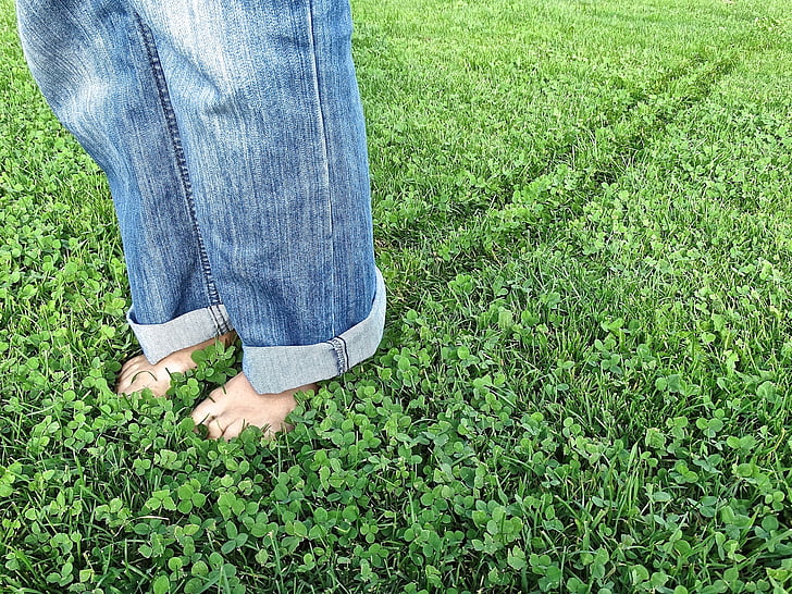 feet, legs, pants, jeans, blue, green, meadow