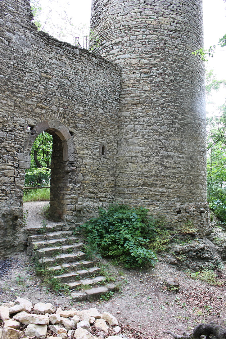 Castle, Burgruine, Se skovbrug