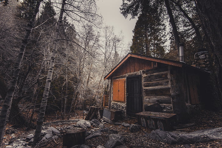 aufgegeben, Haus, im freien, Wald, Bäume, Filialen, Wald