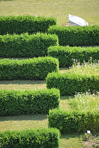 Hedge, säkringsredovisning, struktur, linjer, trädgård, labyrinten, Maze