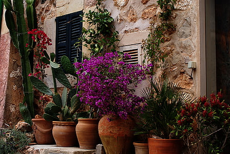 tuscany, flowers, home, planters, mediterranean, summer, facade