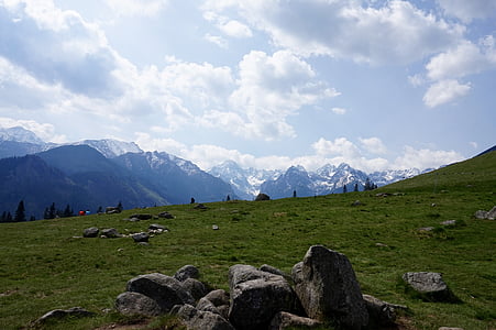 bjerge, Tatry, Høje Tatra, Polyana, Sky, græs, grøn