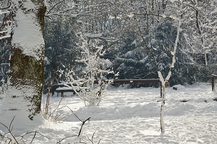 neve, nevoso, paesaggio, natura, natura di inverno, inverno, alberi