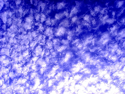 nebo, bel oblak, čisti, svetlobe, dan, modra, ozadja