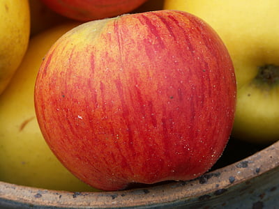 Jablko, červená, pouze, jídlo, ovoce, čerstvosti, organický