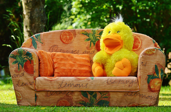 couch, sofa, duck, funny, soft toy, toys, children