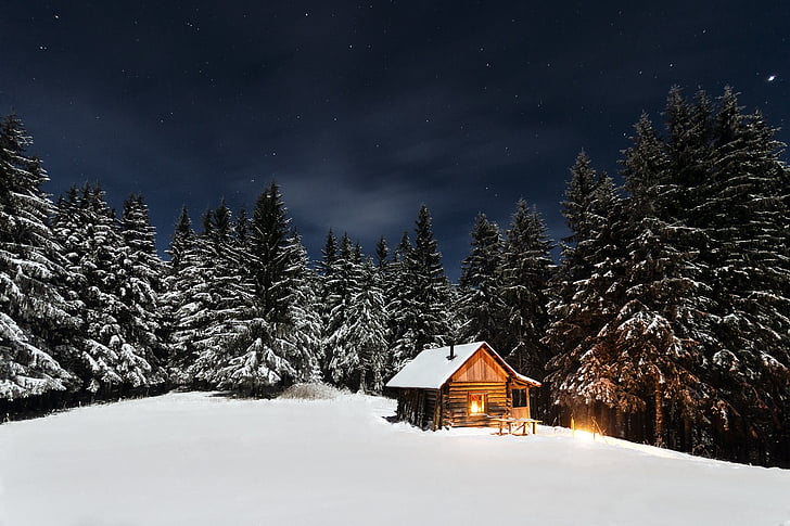 berkemah, hutan, rumah, malam, pohon, musim dingin, domain publik foto