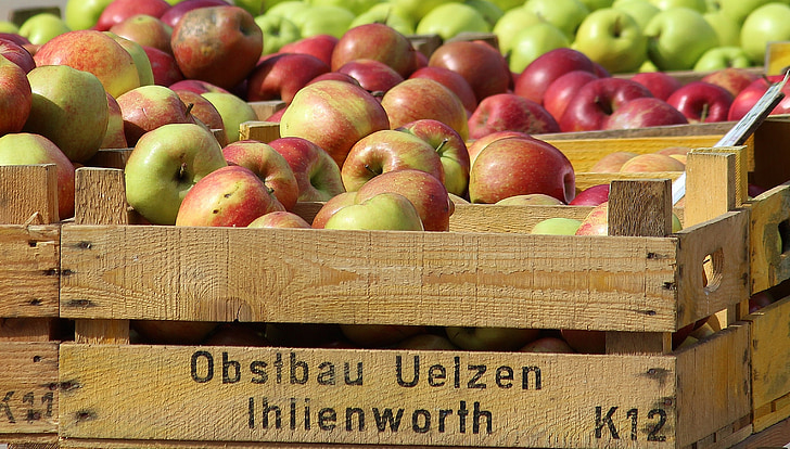 apple, apfelernte, wooden box, market, farmers local market, summer, fruit