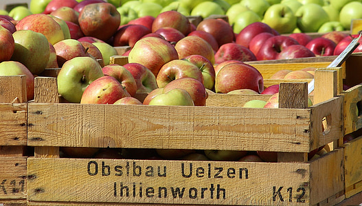 elma, apfelernte, ahşap kutu, Pazar, yerel çiftçilere piyasa, Yaz, meyve