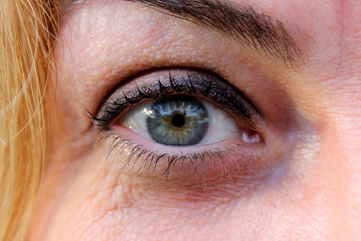 ตา, ดู, ตาสีเขียว, วิสัยทัศน์, ไอริส, cilia, กระจกตา