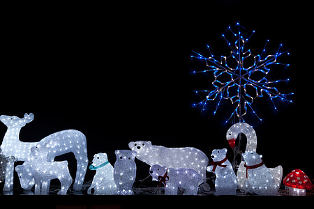 zwierzęta, Niedźwiedź, Boże Narodzenie, Jeleń, Wyświetlacz, LED, światło