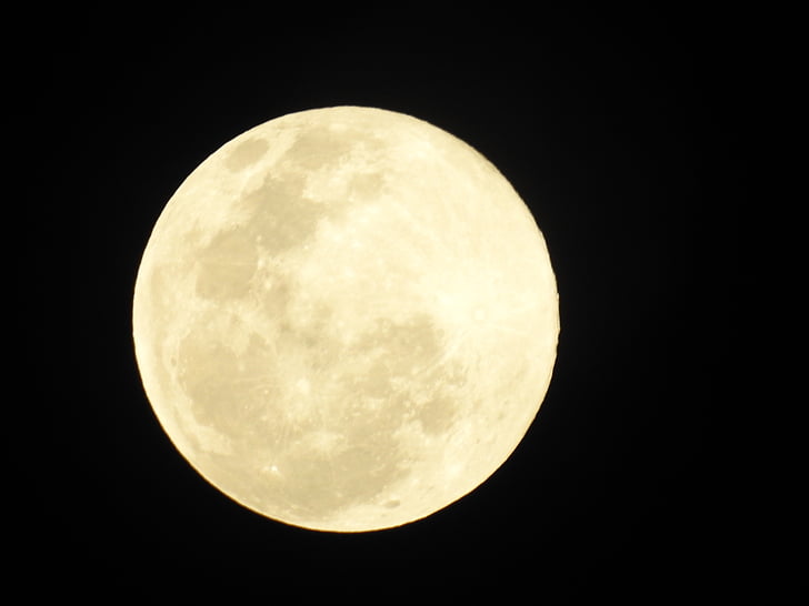 mēness, foto, naktī, pilns, atpakaļ, dzeltena