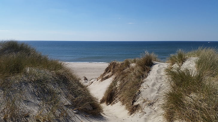 Danija, paplūdimys, jūra, smėlio, kopos, atostogų, dangus