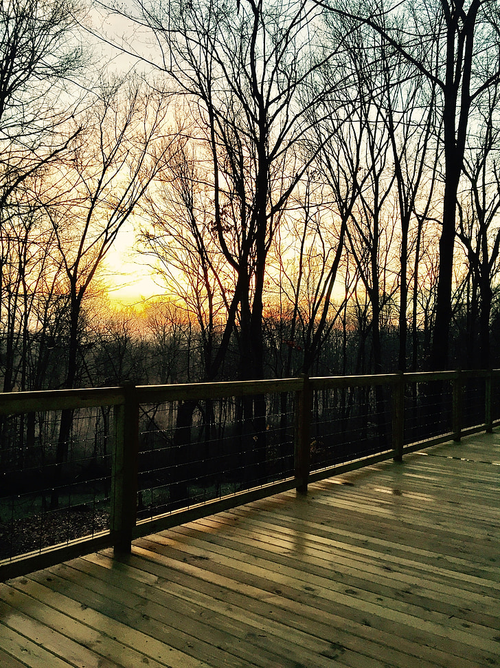 Woods, zonsopgang, liefdevolle leven