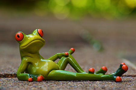 žaba, leži, sproščeno, srčkano, ostalo, Slika, zabavno