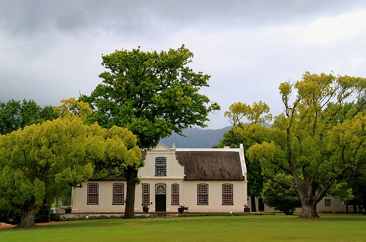 Azienda vinicola, Manor house, Casa, costruzione, Parco, Sud Africa, Rush