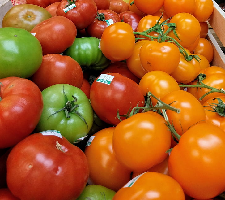 pomidorų, paveldas, gaminti, šviežios, žalias, maisto, daržovių
