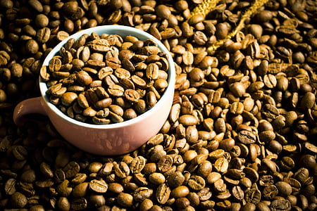 káva, fazuľa, sadzba, pozadie, kávové zrná, detail