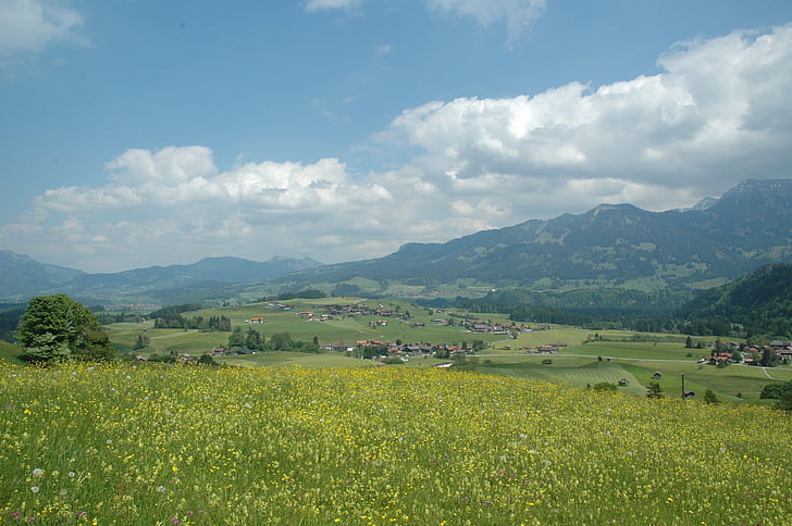 Obermaiselstein, Alpine wildlife park, Vaade, mäed, Panorama, heinamaa, Allgäu
