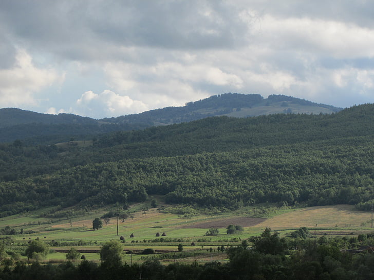 горы, Moma лес, пейзаж, Bihor, Crisana, Румыния