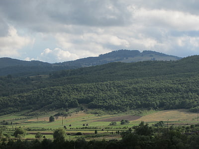 山脉, 现代森林, 景观, 向, crisana, 罗马尼亚