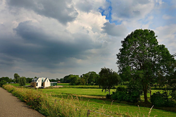 paysage, Holland, rural, polder, Néerlandais, campagne, ciel