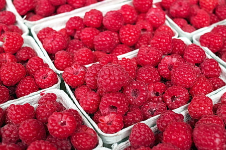 Framboos, Berry, fruit, vruchten, rood, zomer, aardbei
