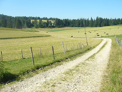 switzerland, road, field