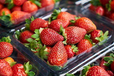 maasikas, puu, puuvilja Aed, Aed, punane, terve, värske