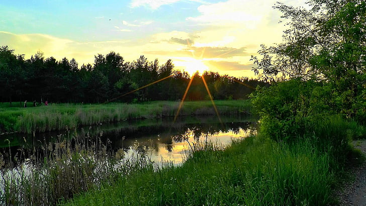 floden, Dawn, natur, aften, udendørs, sommer, søen