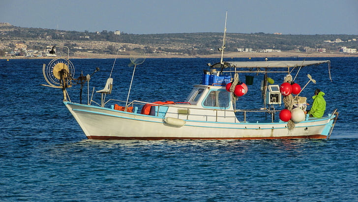 Cypern, Ayia napa, fiskeri, fiskekutter, båd, havet, fisker