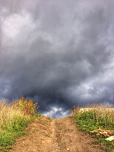 sendero, Ruta de acceso, naturaleza, nubes, tormenta, hierba, nube - cielo