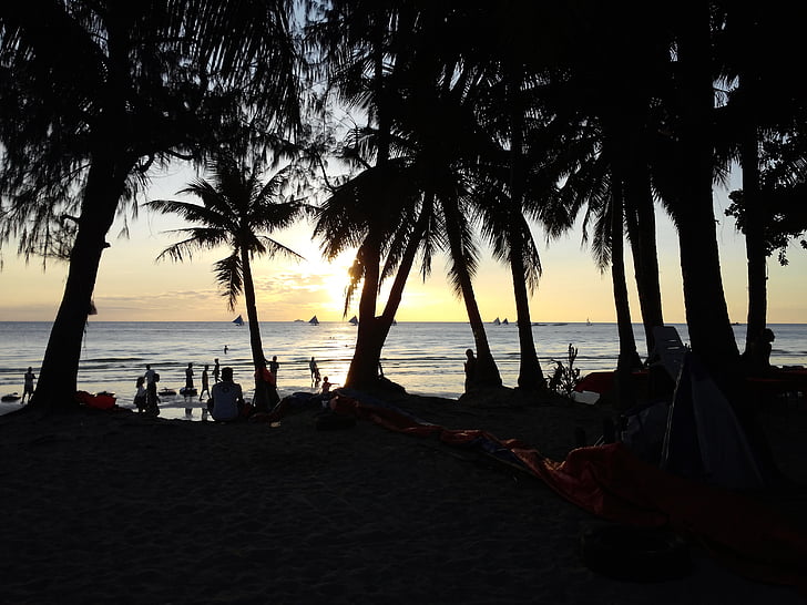 Boracay, Plaża, teren rekreacyjny, podróży, palmy, Natura, Wyspa