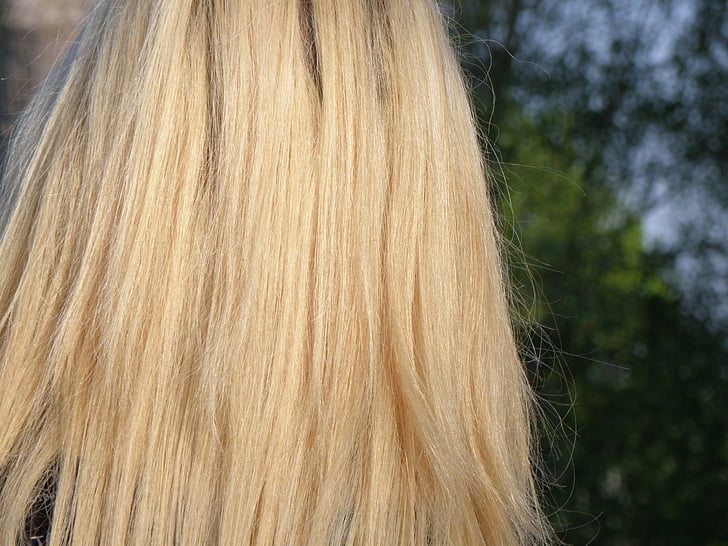 hiukset, blondi, kirkas, pitkä