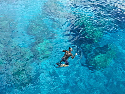 浮潜, 水, 海洋, 度假, 游泳, 绿松石, 冒险