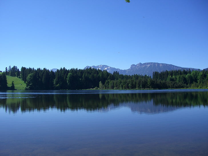 pond, firs, mountains, mirroring, kögel pond, nesselwang, allgäu