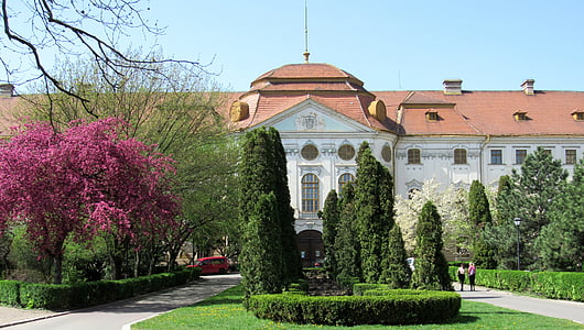 Oradea, Transilvania, Crisana, Rumania, Centro, Museo, edificio