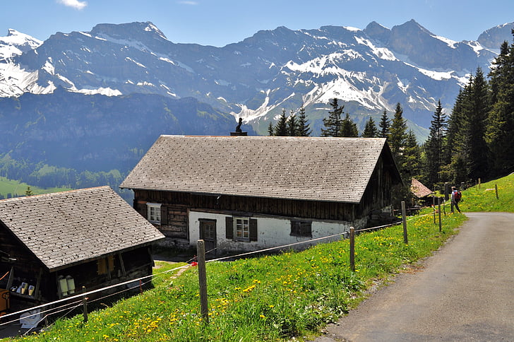 Alp, Швейцария, Хижа, планинска група, планини, Швейцарски Алпи, пейзаж