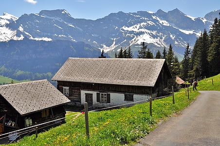 alp, 스위스, 헛, 산 그룹, 산, 스위스 알프스, 조 경