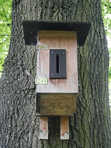 nesting box, aviary, bird feeder, tree, nesting place