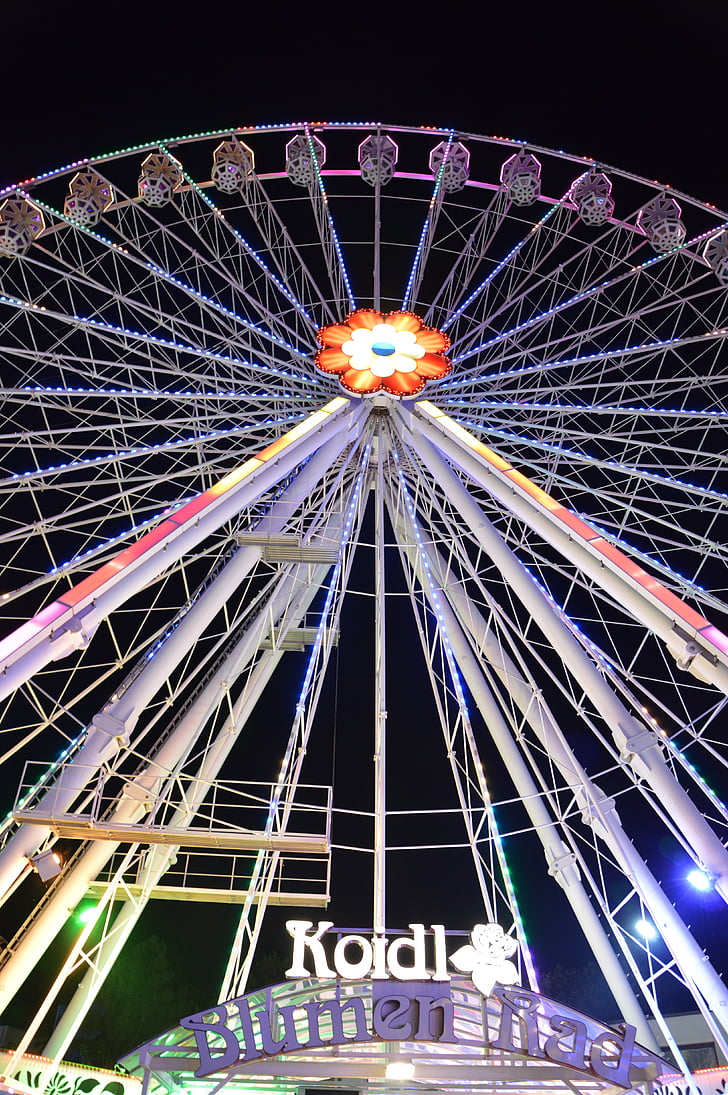 wheel, amusement park, ferris wheel, light, austria, vienna