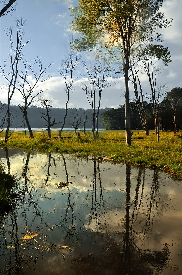 water, tree, mood, panorama, rest, mirroring, sky