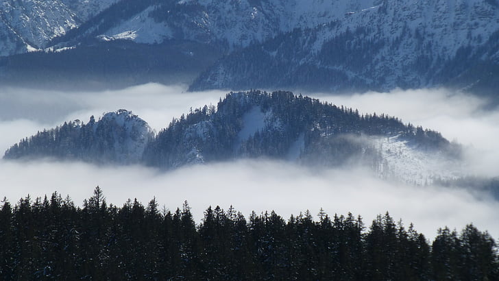 Allgäu, mgła, panoramy, panoramiczny widok z alp, wskazał, Słońce, zimowe, śnieg