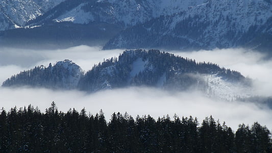 Allgäu, niebla, panorama, vista panorámica de la montan@a señalada, sol, invierno, nieve